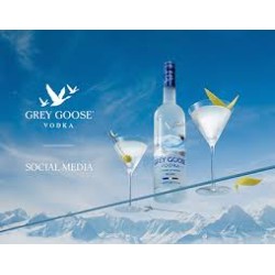 Vodka Grey Goose