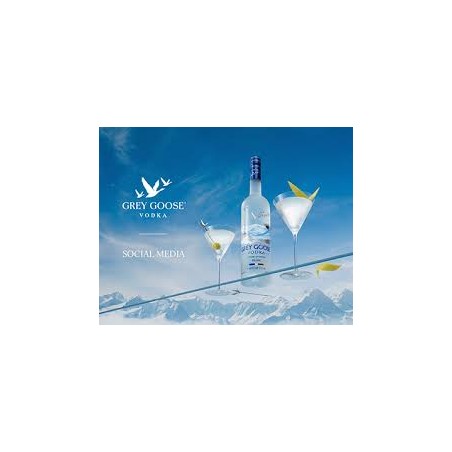 Vodka Grey Goose